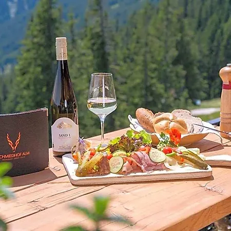 Hotel Schmiedhof Alm 3*