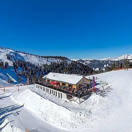 Schmiedhof Alm 3*