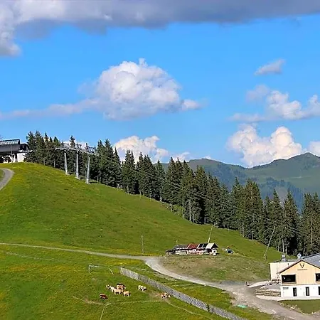 Schmiedhof Alm 3*