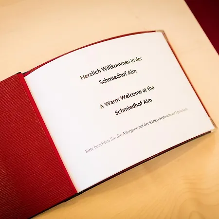 Schmiedhof Alm Zell am See