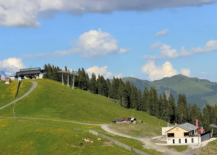 Schmiedhof Alm 3* Zell am See