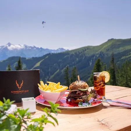 Schmiedhof Alm 젤암제