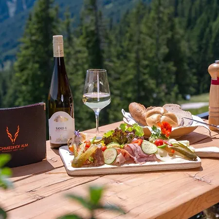 Schmiedhof Alm 호텔 3*